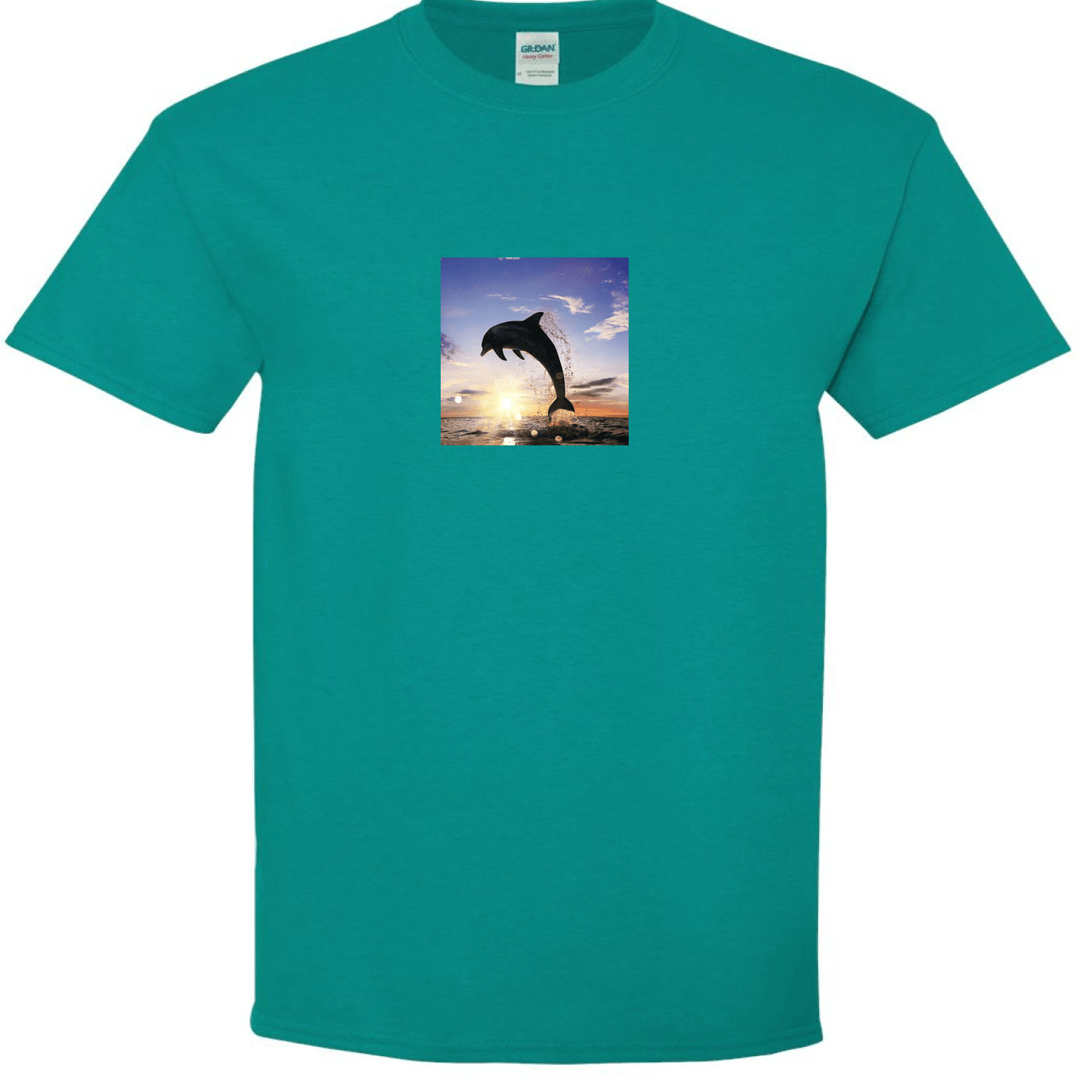 Dolphin