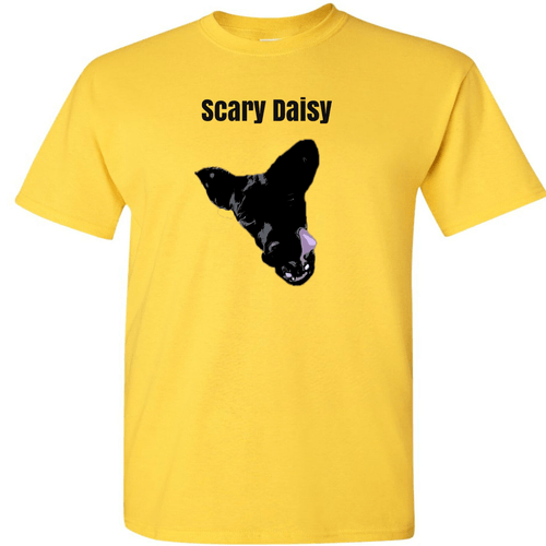 Emileigh Ann merch