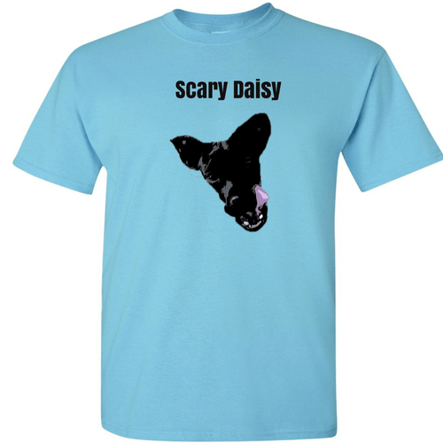 Emileigh Ann merch