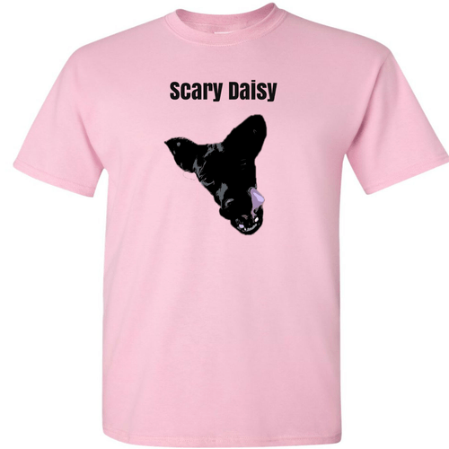 Emileigh Ann merch