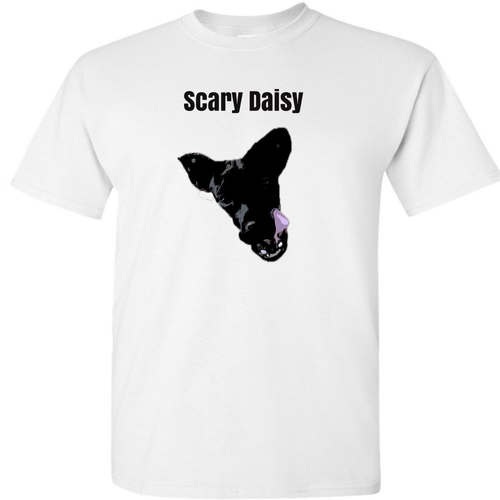 Emileigh Ann merch