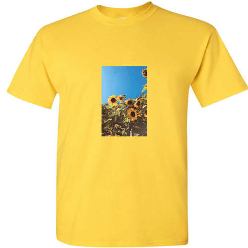 Sunflower bebe’s