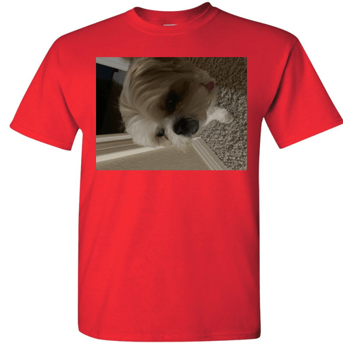 Phillip merch